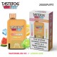 TASTEFOG GEMINI 25000 Puffs Watermelon Ice + Lemon Lime