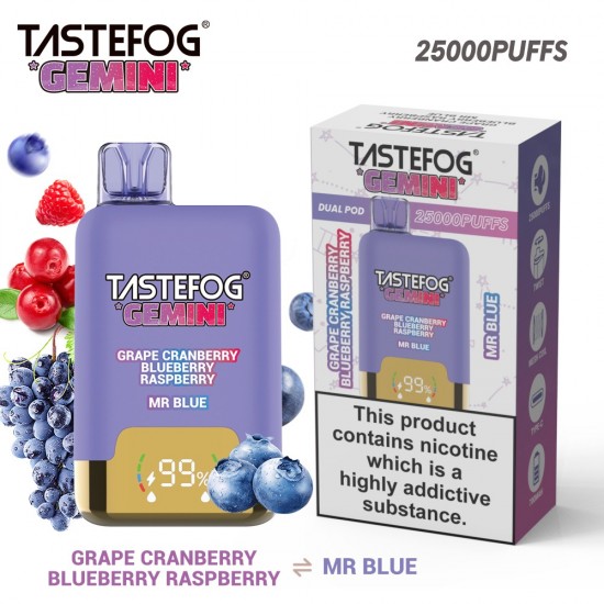 TASTEFOG GEMINI 25000 Puffs Grape Cranberry Blueberry Raspberry +Mr.Blue