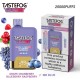 TASTEFOG GEMINI 25000 Puffs Grape Cranberry Blueberry Raspberry +Mr.Blue