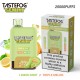 TASTEFOG GEMINI 25000 Puffs Lemon Mint + Triple Melon