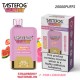 TASTEFOG GEMINI 25000 Puffs Strawberry Watermelon + Pink Lemonade